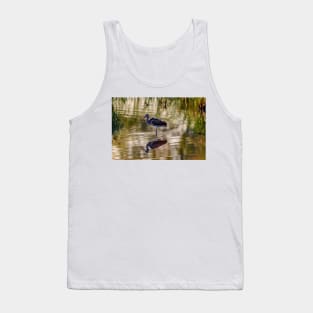 Immature White Ibis at Sunrise Tank Top